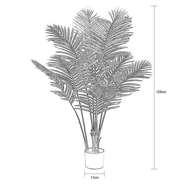 Pochard Plant In Pot 128cm