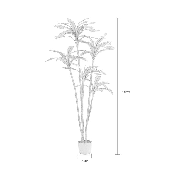 Sparrow Red Plant In Pot 150cm(H)