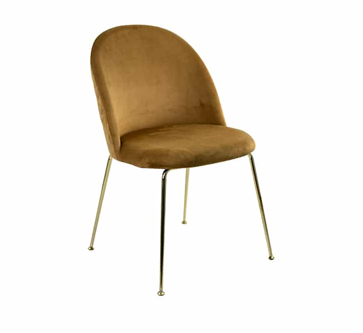 Occasional Velvet Chair