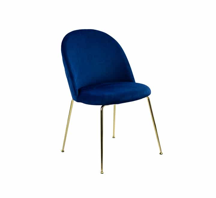 Occasional Velvet Chair