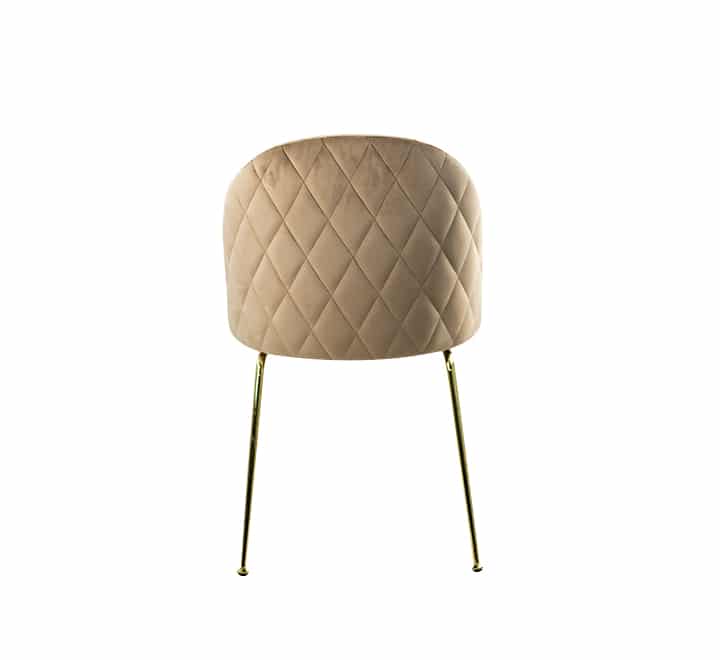 Occasional Velvet Chair