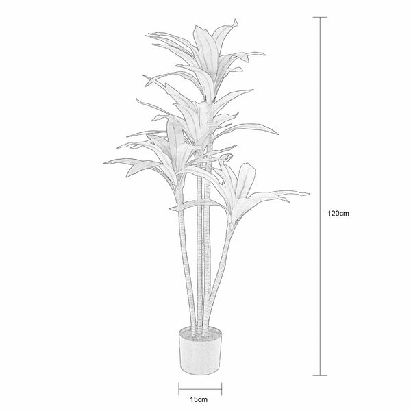 Sparrow Plant In Pot 120cm (H)
