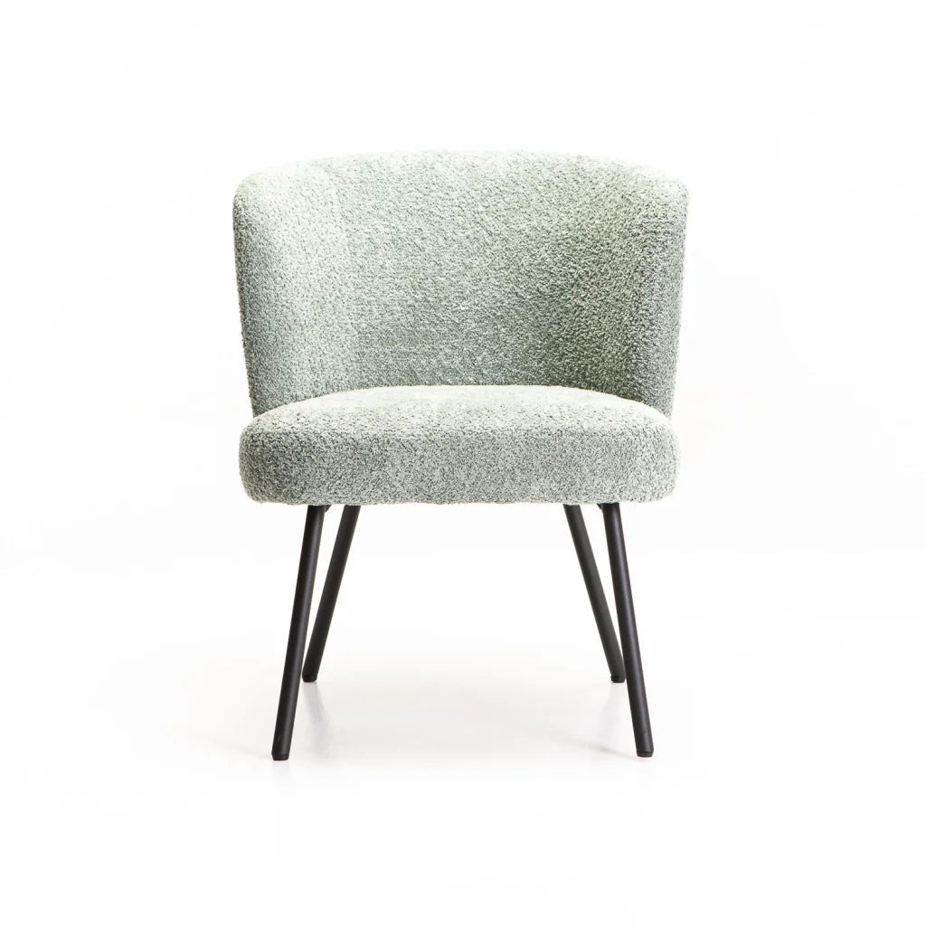 Lajja Fabric Chair - Mint