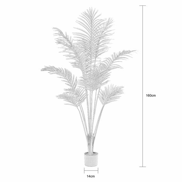 Pochard Plant In Pot 160cm