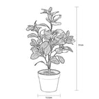Rubeiza Plant In Pot 51cm