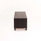 Radicchio 1 Door TV Unit - Wenge