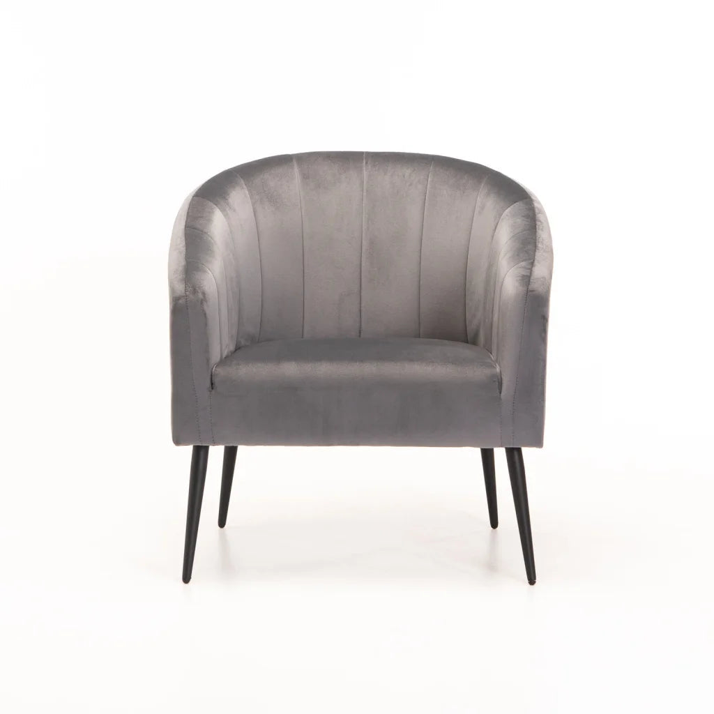 Abhilasha Velvet Chair - Black Leg - Grey