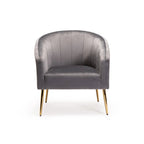 Abhilasha Velvet Chair - Gold Leg - Grey