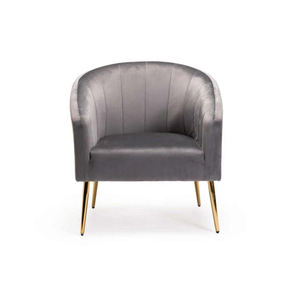 Abhilasha Velvet Chair - Gold Leg - Grey