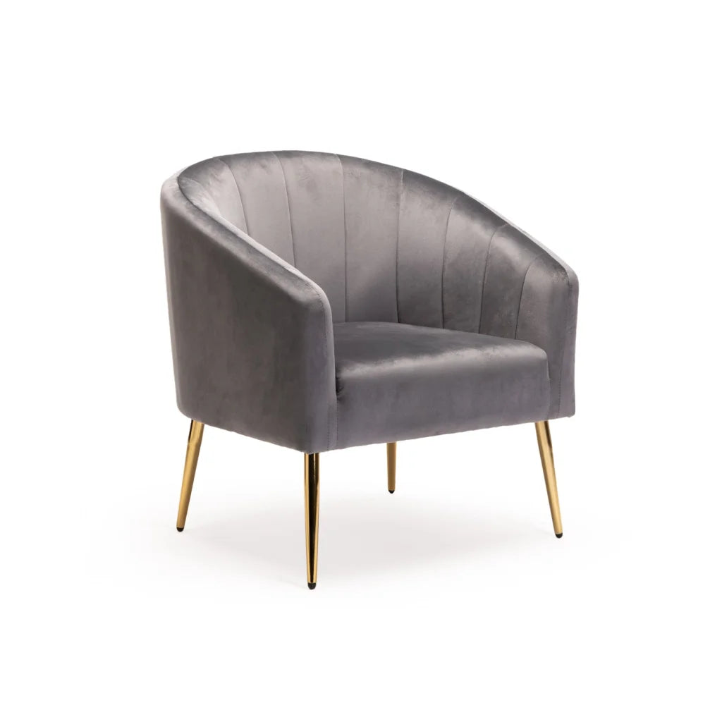 Abhilasha Velvet Chair - Gold Leg - Grey