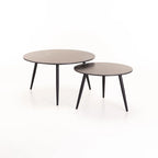 Cognac Set Of 2 Stone Top Coffee Table - Black
