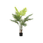 Pochard Plant In Pot 128cm