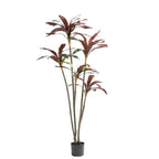 Sparrow Red Plant In Pot 150cm(H)