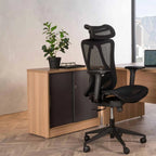 Rubeiza Plant In Pot 51cm