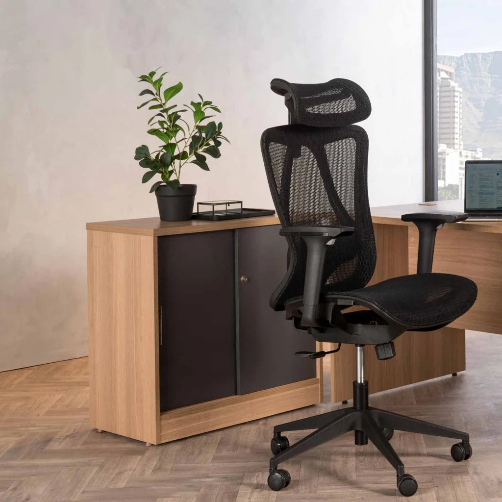 Rubeiza Plant In Pot 51cm