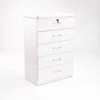 Barachiel 5 Drawer Chest - White
